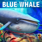 Blue Whale Simulator — Game